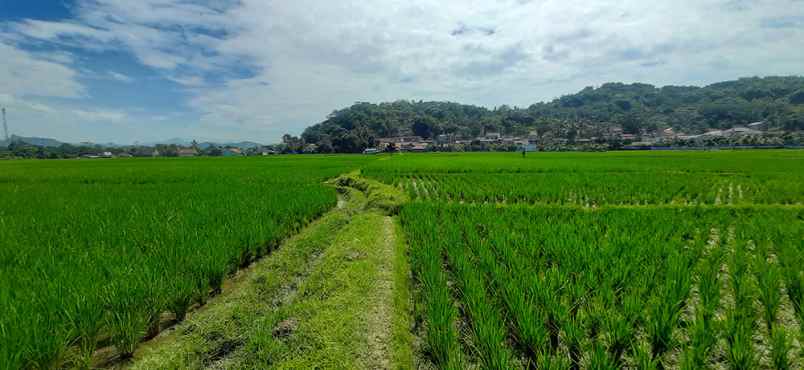 dijual tanah raya cililin cihampelas