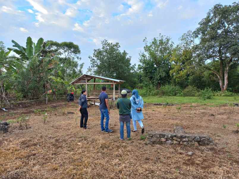 dijual tanah sakeang benteng gajah maros