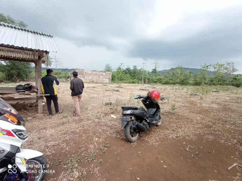 dijual tanah sakeang benteng gajah maros