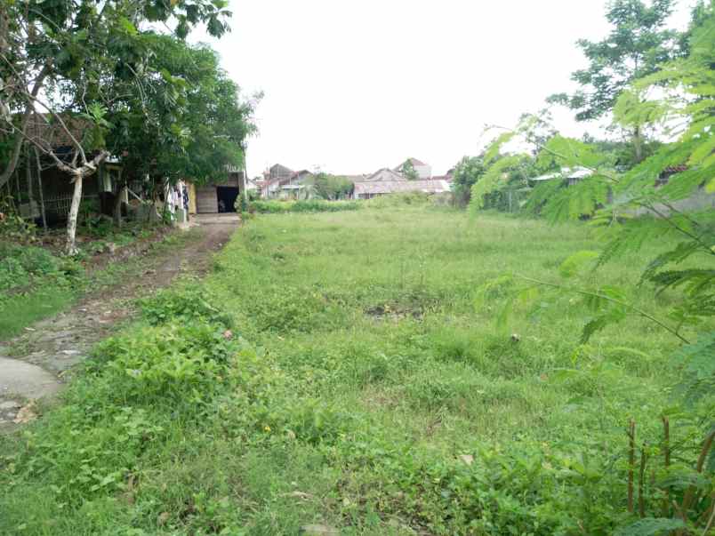 dijual tanah sendangtirto