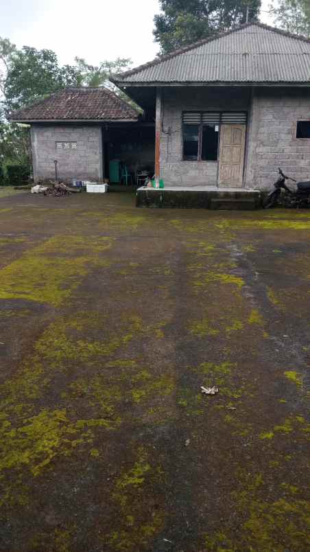 dijual tanah sepang puncak sari