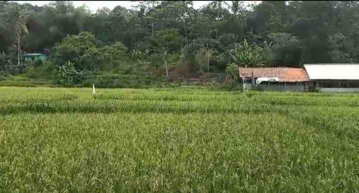 dijual tanah sindangkempeng kec