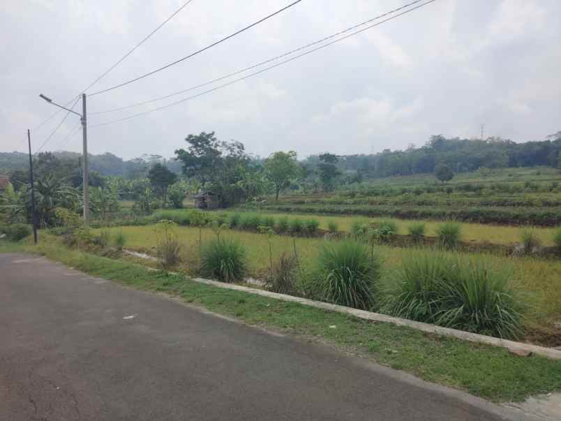 dijual tanah strategis pinggir jalan kabupaten