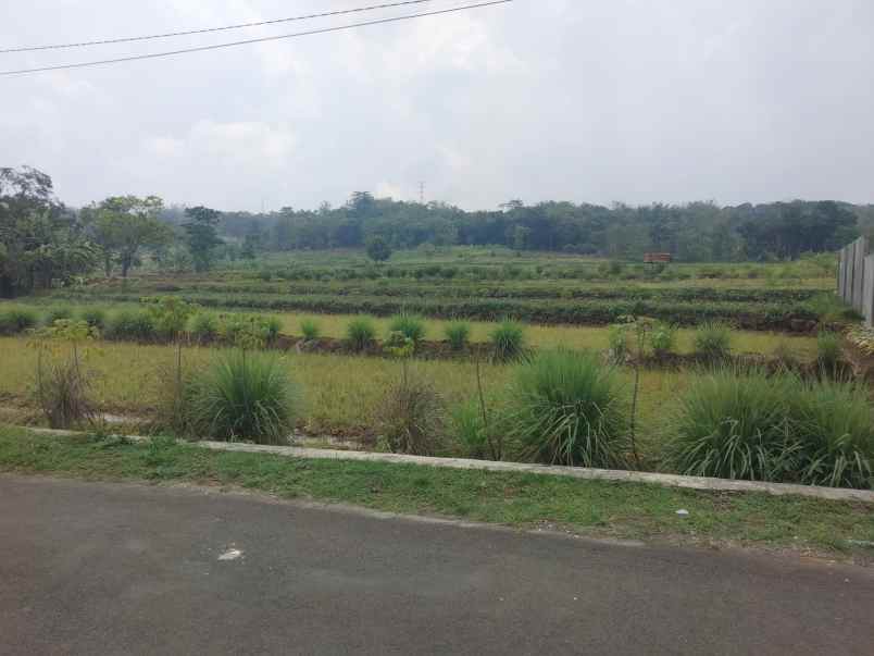 dijual tanah strategis pinggir jalan kabupaten