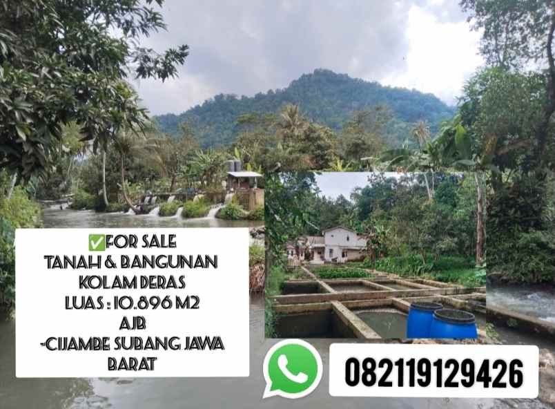dijual tanah subang