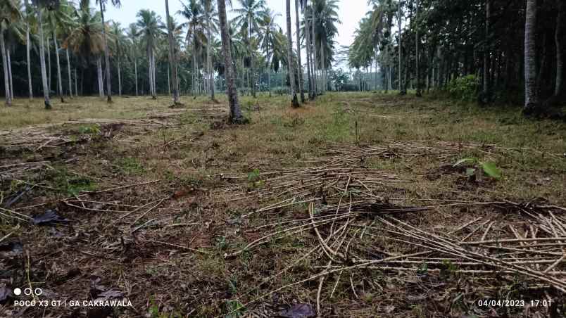 dijual tanah suka bandung negara ratu