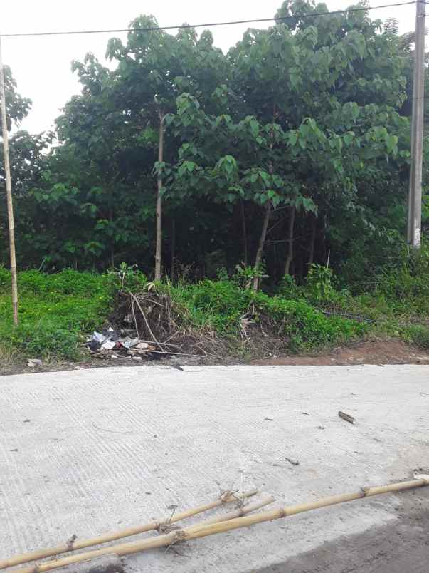 dijual tanah sukamahi cianjur