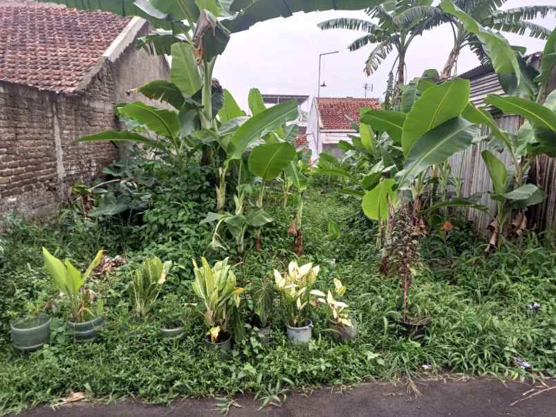 dijual tanah sukapada cibeunying