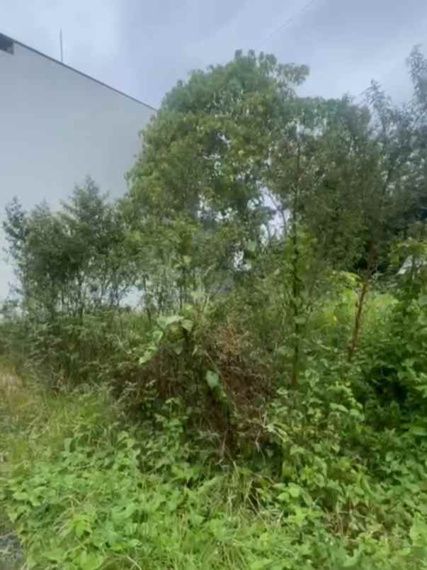 dijual tanah tegal buah padangsambian kelod