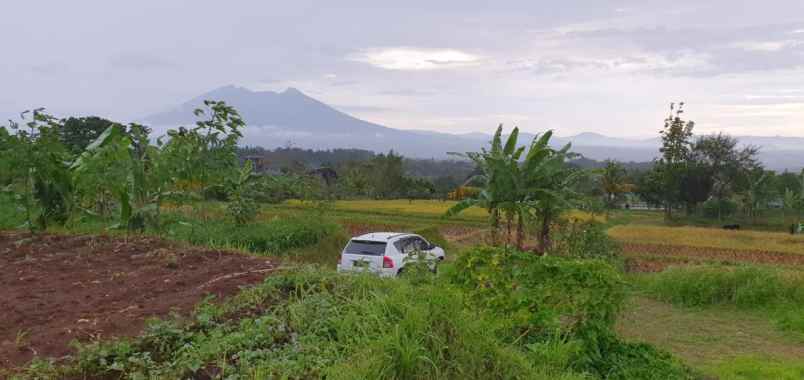 dijual villa jalan mega mendung cisuara