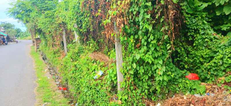 disewakan tanah jalan sekar sari denpasar bali