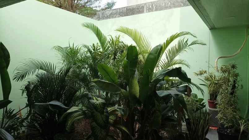 jual citraland crystal golf semi furnished baru renov