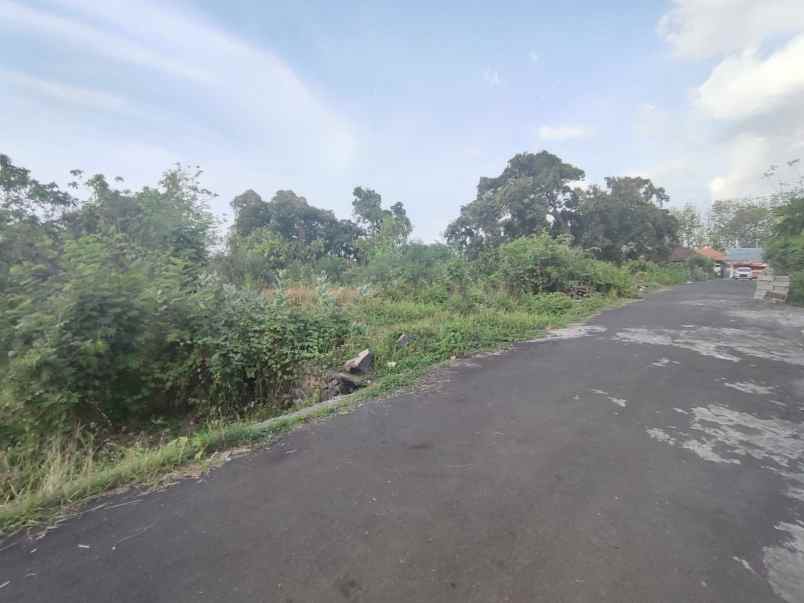 jual tanah kosong luas di banyuning buleleng strategis