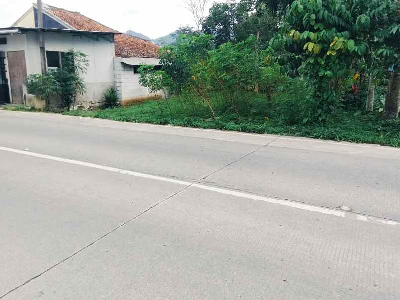 jual tanah strategis jln propinsi