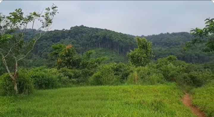 lahan daratan akses bagus view indah subang