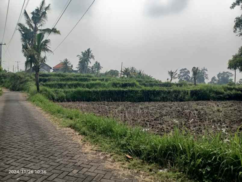 land for leasehold near maya ubud bali