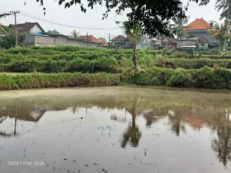 land for leasehold near maya ubud bali