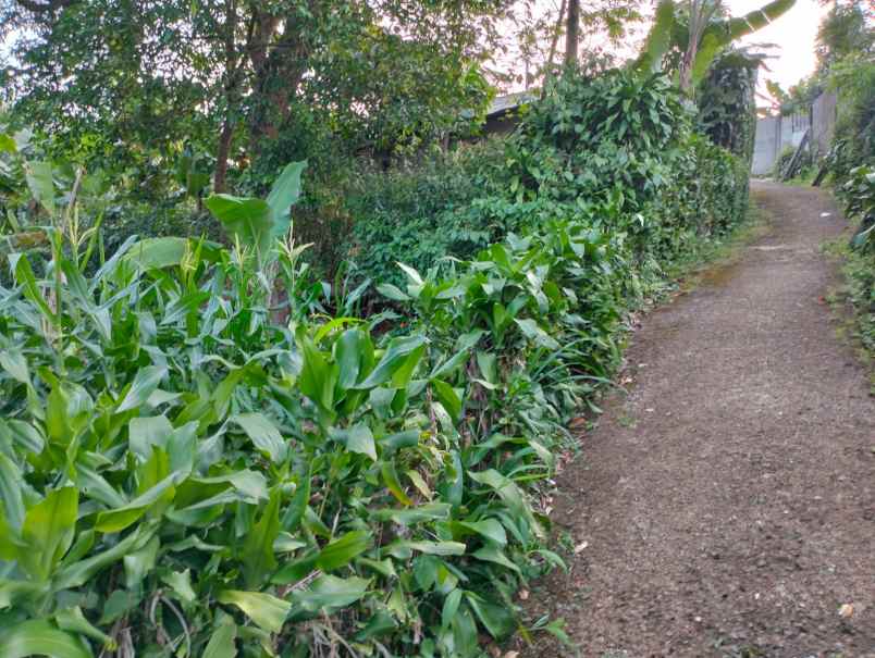 lokasi murah di gn geulis bogor