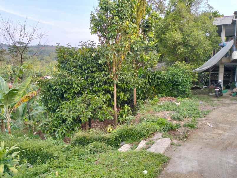 lokasi murah di gn geulis bogor