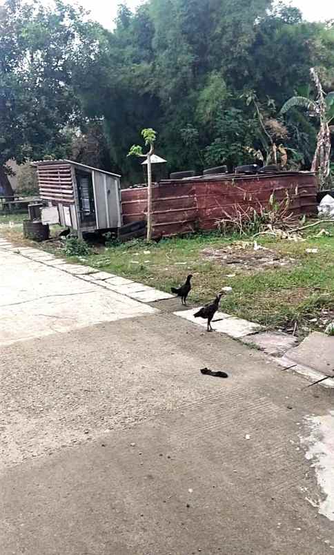 miliki kavling bintaro house hunian ekslusif sektor 9