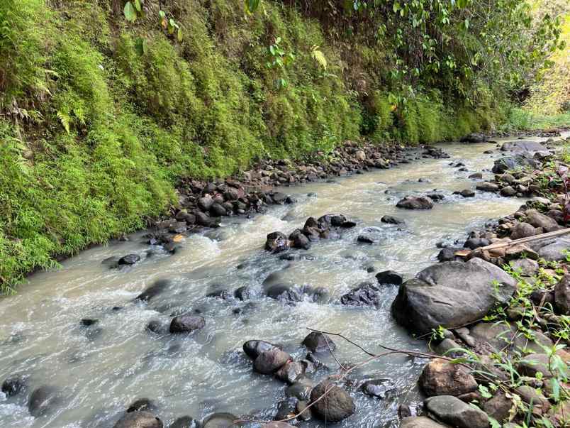 murah kebun durian 1000m2 200 juta karanganyar