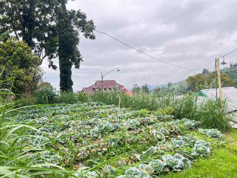 rumah 1000m strategis kawasan wisata ngargoyoso