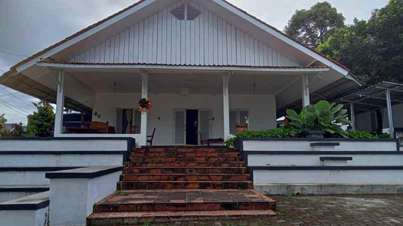 rumah dan gedung style belanda di daerah kencana bogor