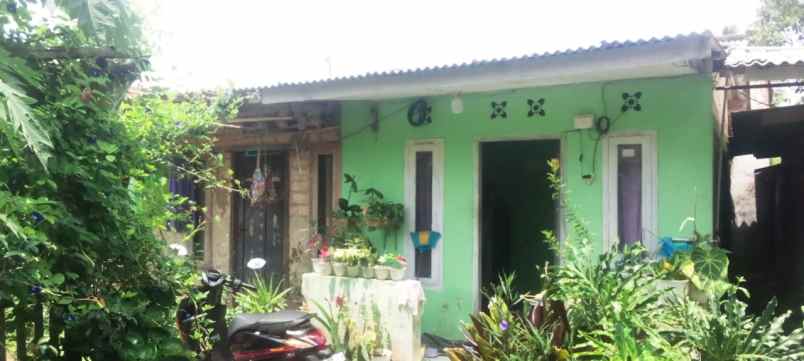 rumah dan kontrakan 8 pintu harga dibawah pasar bogor