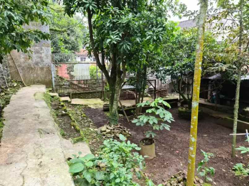 rumah murah di bawah njop pasteur sukajadi