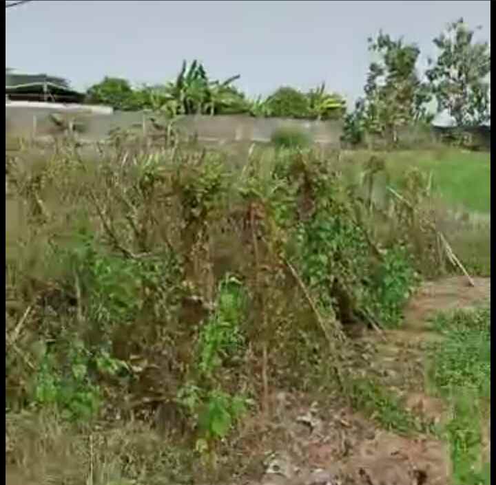 sebidang tanah nol jalan provinsi lokasi minohorejo