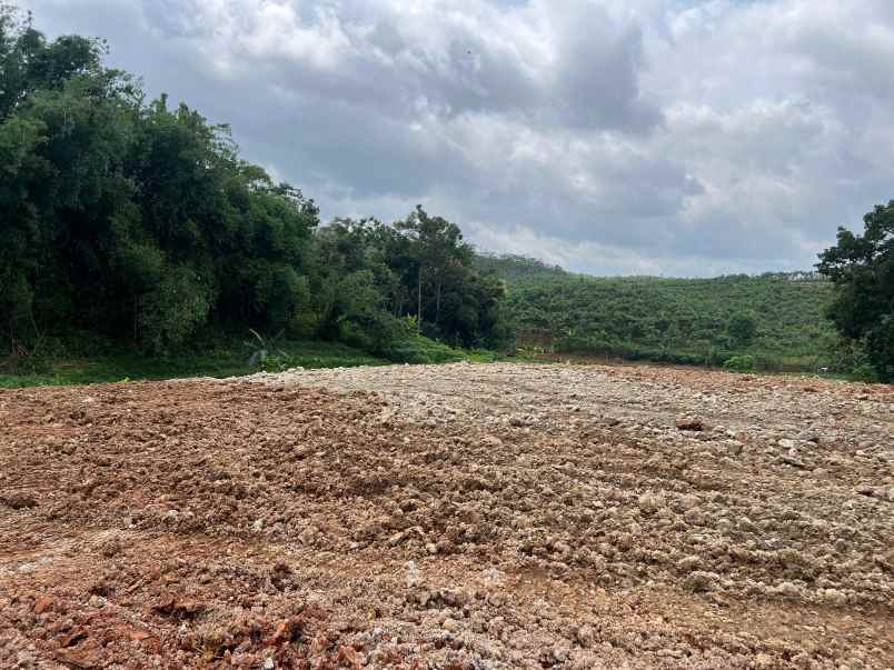 tanah 1685m siap bangun dekat pasar mojogedang