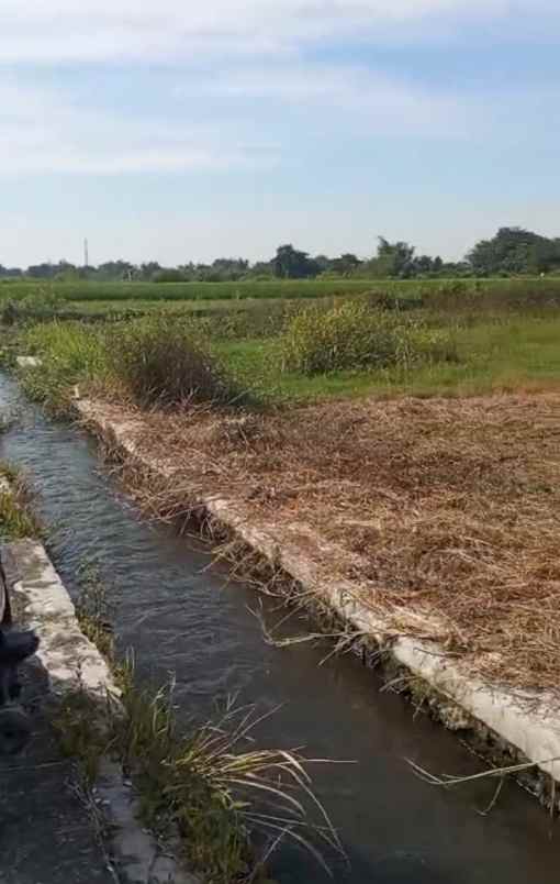 tanah 1934m2 dekat wisata janti klaten 425jt nego bu