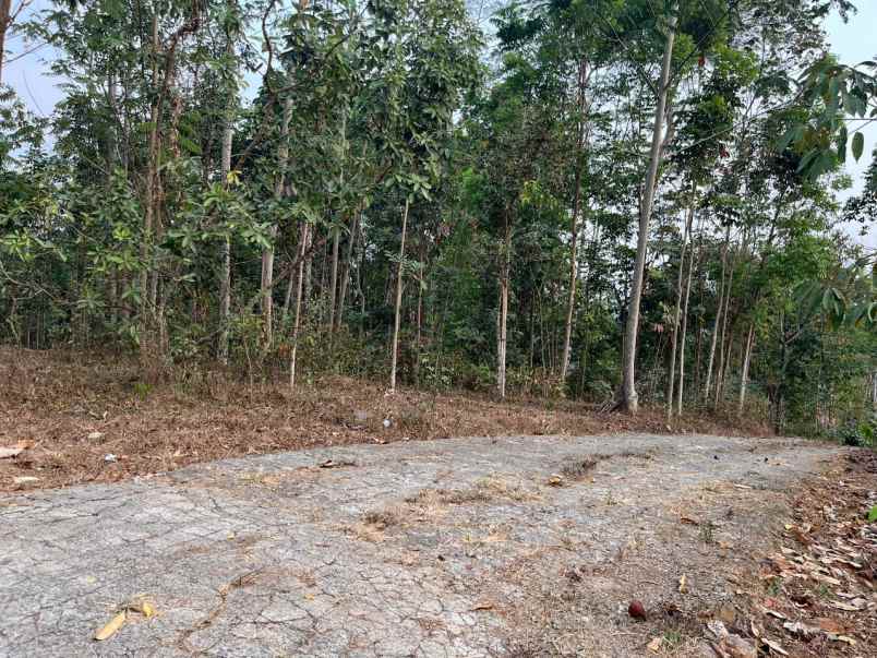 tanah 250rb m utara pasar matesih karanganyar