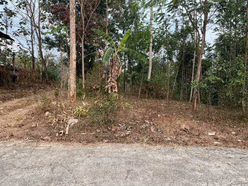 tanah 250rb m utara pasar matesih karanganyar