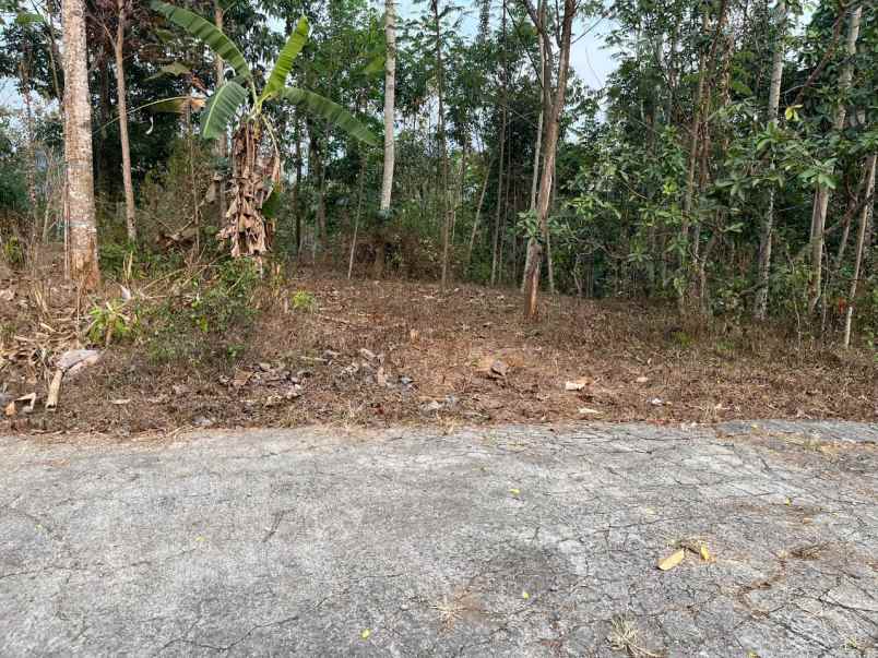 tanah 250rb m utara pasar matesih karanganyar