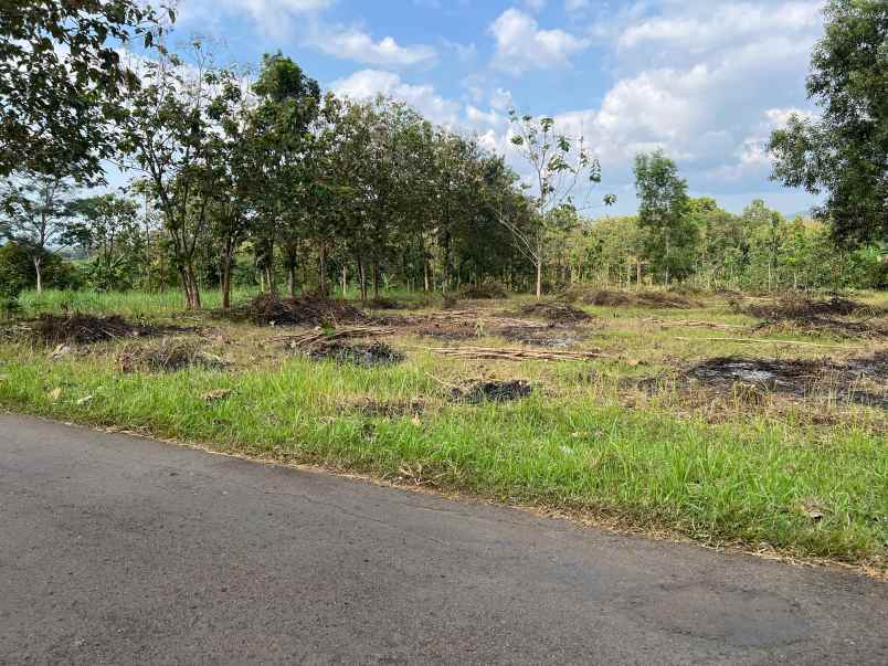 tanah datar strategis 3000m zona kuning karanganyar