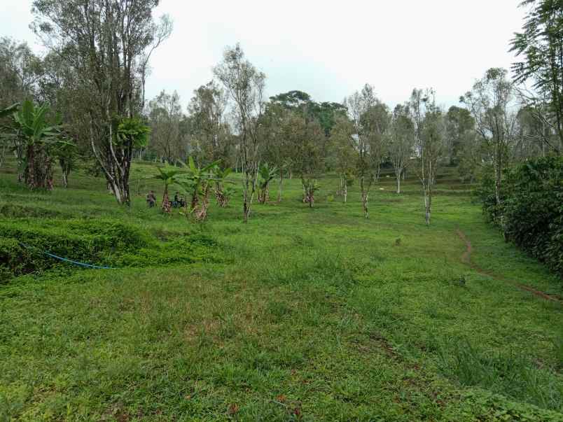 tanah dekat wisata paralayang subang jawa barat