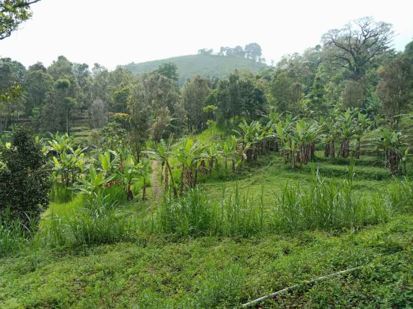 tanah dekat wisata paralayang subang jawa barat