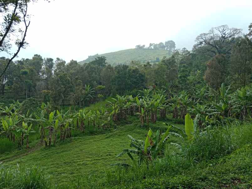 tanah dekat wisata paralayang subang jawa barat