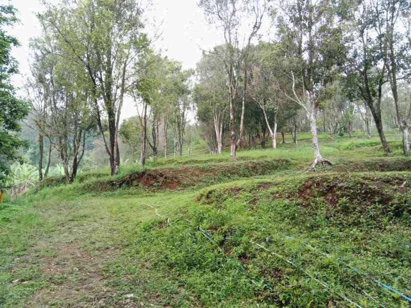 tanah dekat wisata paralayang subang jawa barat