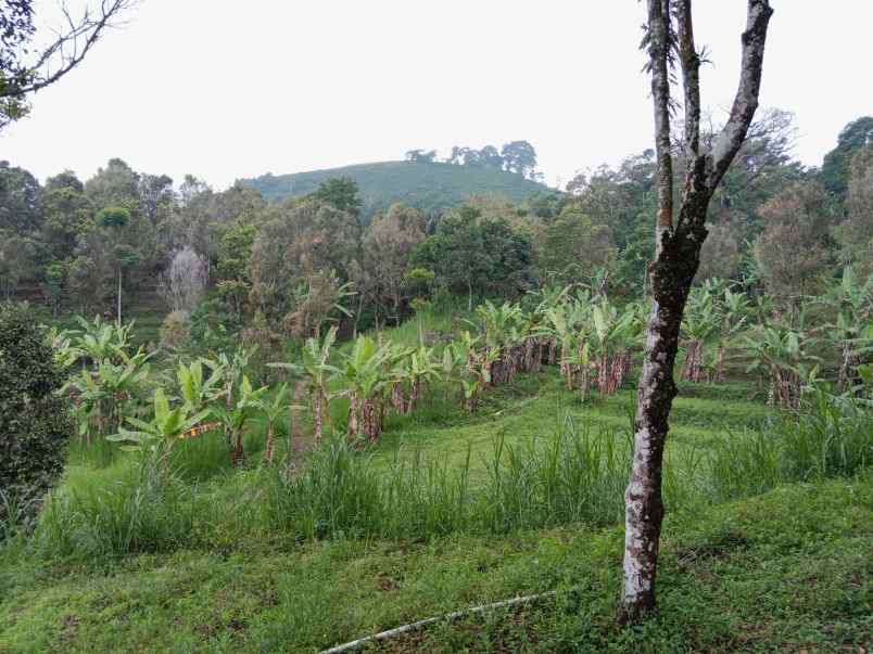 tanah dekat wisata paralayang subang jawa barat