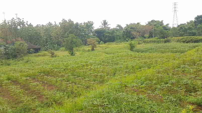 tanah di cibuntu ciampea jl h jaili