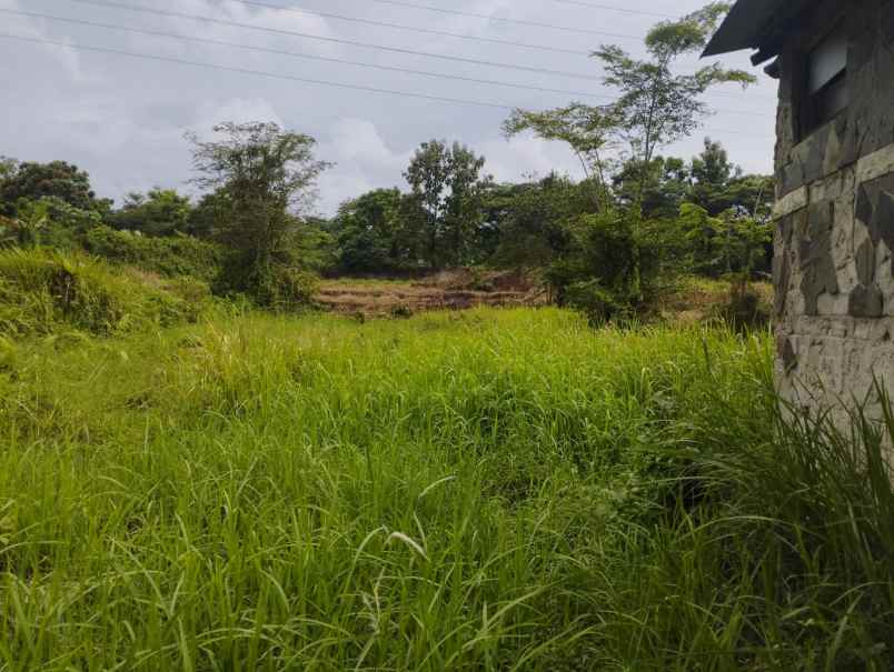tanah di cibuntu ciampea jl h jaili