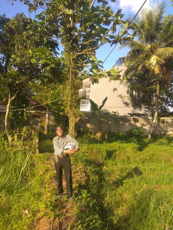 tanah di cibuntu ciampea jl h jaili
