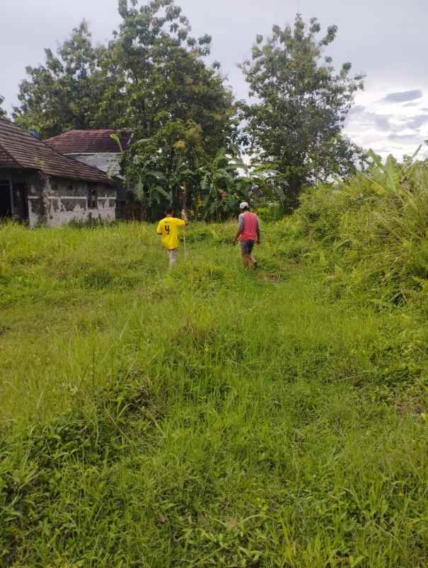 tanah di cibuntu ciampea jl h jaili