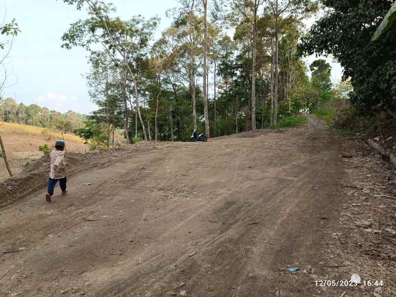 tanah di kemiling luas 792m shm akses jlalan aspal