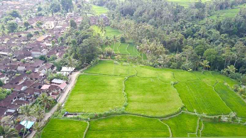 tanah di kenderan ubud bali dekat manuaba waterfall