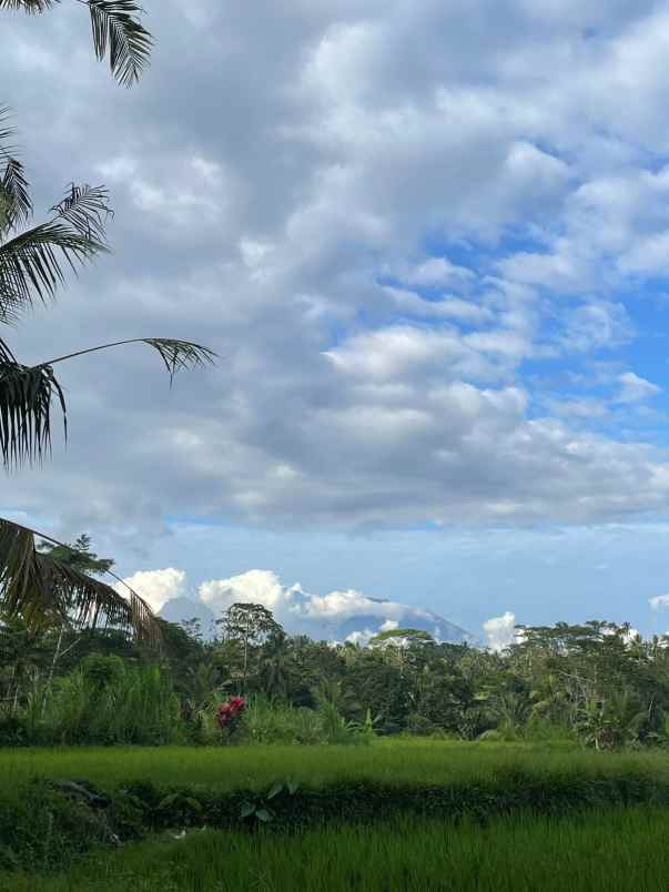 tanah di kenderan ubud bali dekat manuaba waterfall