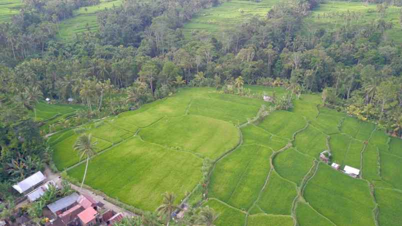 tanah di kenderan ubud bali dekat manuaba waterfall