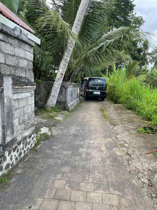 tanah di kenderan ubud bali dekat manuaba waterfall